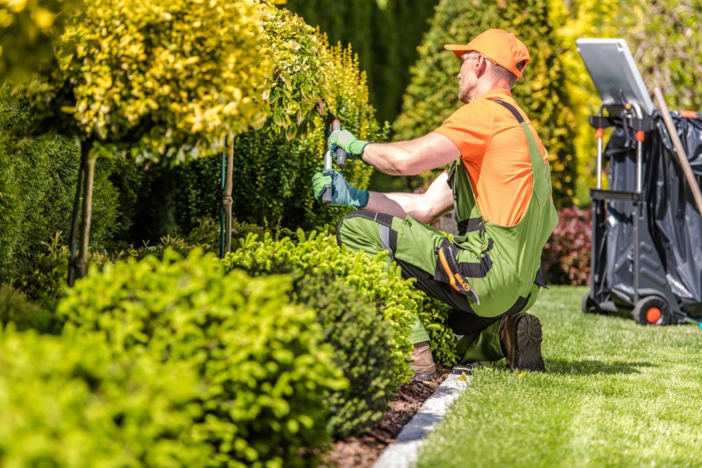 Landscaping Contractor Landscaping Contractor